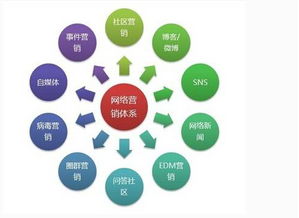 領創互聯 您身邊的互聯網建設與營銷專家，助力薯類銷售創新升級
